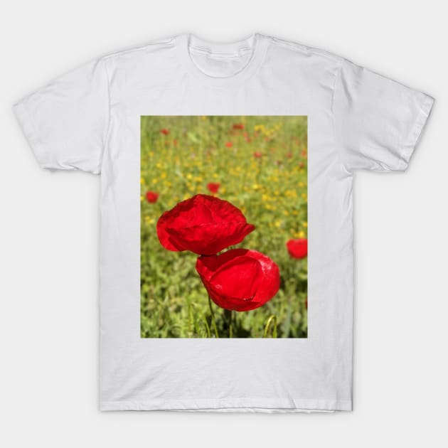 Greek Wildflowers poppy and calendula meadow T-Shirt by aeolia